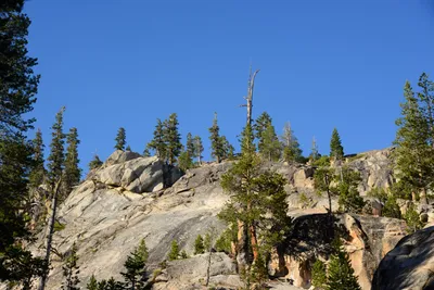 DSC_9953 (Large).JPG